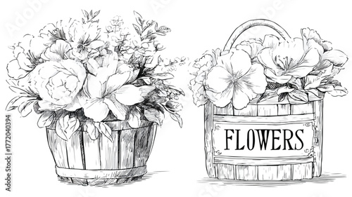 Beautiful Basket of Flowers and Floral Basket Vector Illustration