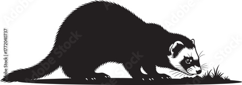 Silhouette of a curious ferret exploring grassy terrain in a striking black and white composition