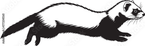 Dynamic ferret silhouette running forward capturing the essence of agility and playfulness for general design needs