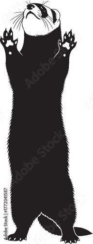Playful ferret standing tall reaching upwards silhouette cute domesticated animal silhouette art wildlife pet mammal