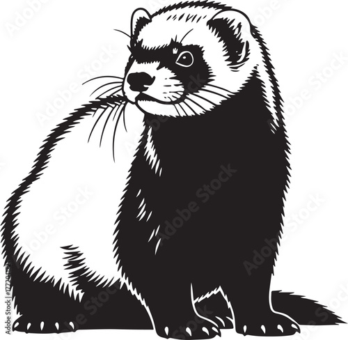 Black and white artistic rendering of a curious ferret showing distinct features and fur detail