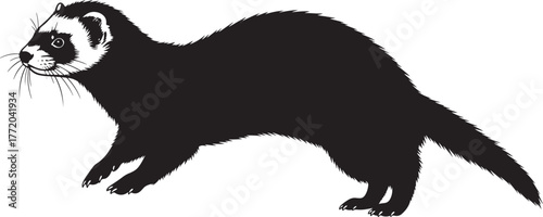 Silhouette of a black ferret standing on a white surface with its body stretched out.