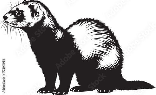 Detailed line art portrait of a curious ferret posed in profile showing its fur pattern