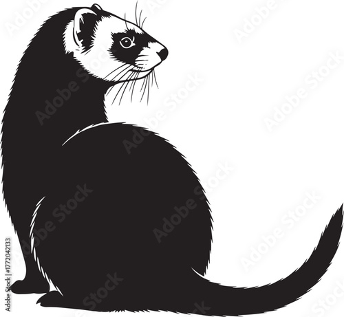 Charming ferret silhouette looking sideways a captivating black and white image of a ferret pet animal