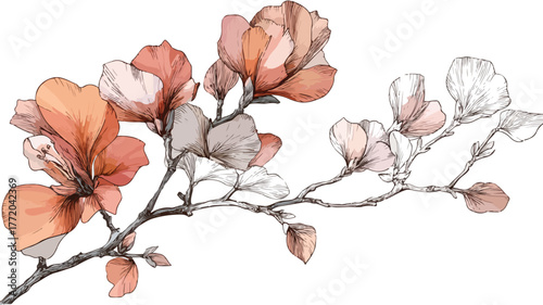 Elegant Flower Twig and Blooming Flora - Delicate Botanical Vector Illustration