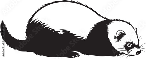 Charming ferret silhouette realistic black and white artistic rendering wildlife creature