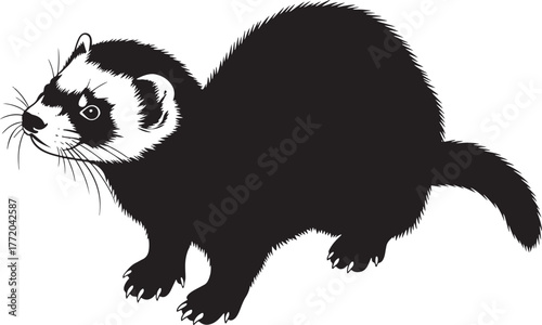 Black and white line art ferret animal portrait natural wildlife cute domestic pet illustration stylized animalistic sketch portraiture nature creature