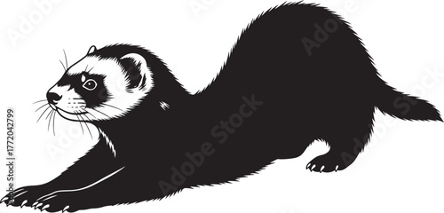Black silhouette of a stretching ferret captured in a dynamic pose conveying agility and playful energy perfect for pet lovers