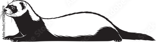 Detailed black and white sketch of a ferret lying down showcasing its sleek body and distinct facial markings for artistic use