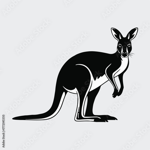 kangaroo graphic art marsupial standing profile long tail simplified form