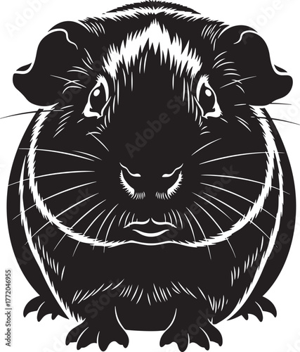 Close up black and white graphic portrait of a fluffy guinea pig facing forward with detailed fur texture