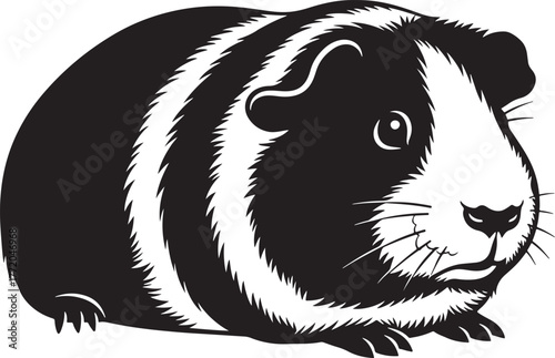Adorable guinea pig portrait black and white drawing cute rodent pet animal full body closeup