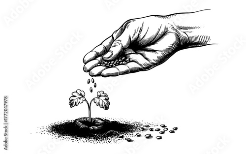 a hand sowing seeds above a small plant in soil, symbolizing growth, nurture, and sustainability.