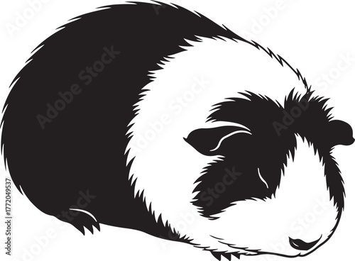 Adorable black and white guinea pig portrait capturing its fluffy texture and gentle nature a cute rodent friend