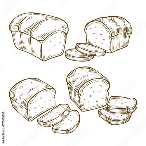 Set of white bread hand drawn illustration. White bread vector line art collection
