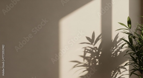 Morning sunlight casting a gentle shadow of delicate leaves on a neutral wall, creating a serene and minimalist background with copy space