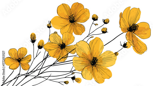 Botanical Illustration of Yellow Flower Plant with Elegant Typography