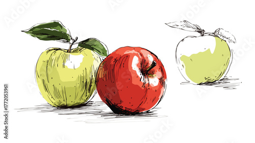 Vibrant Illustration of Apples with Green on Bottom - Vector Drawing