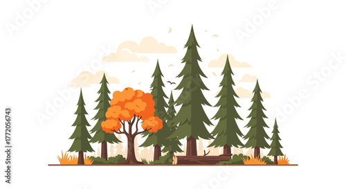 A vibrant orange autumn tree stands out among tall green pine trees in a forest illustration. Flat Vector Illustrations. EPS Editable