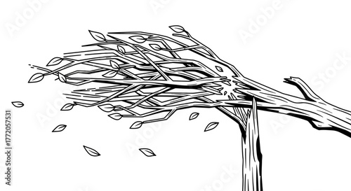 Hand drawn illustration of a tree bending and breaking in the wind. Flat Vector Illustrations. EPS Editable