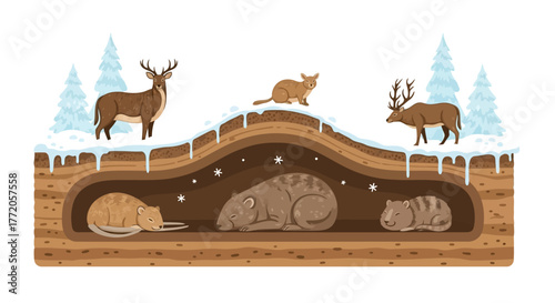 Forest animals hibernating underground during a cold winter season. Flat Vector Illustrations. EPS Editable