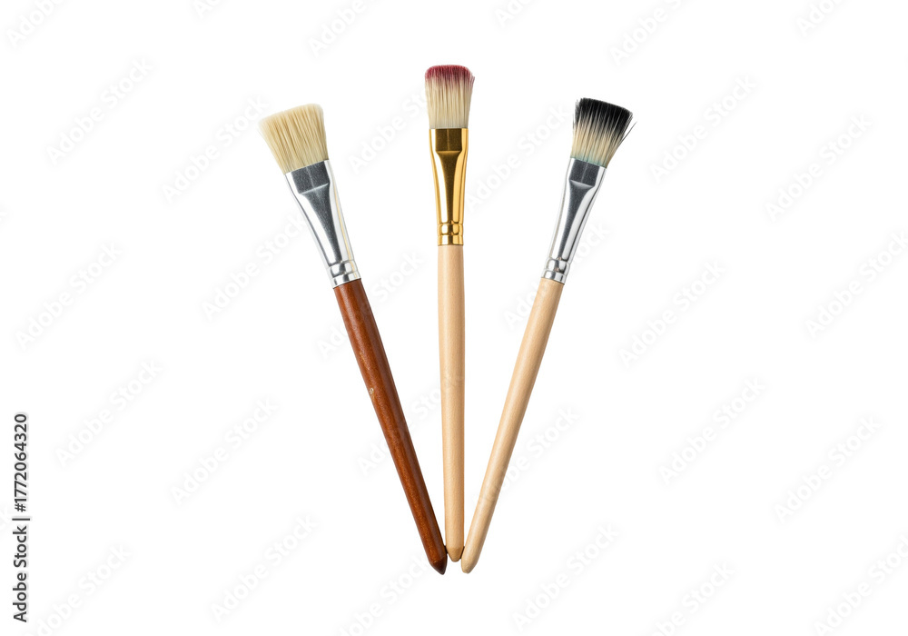 Naklejka premium Set of Three Paint Brushes