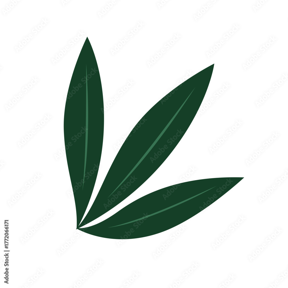 Fototapeta premium Curved green leaves in trio, ideal for natural, organic, or modern branding and layout designs.