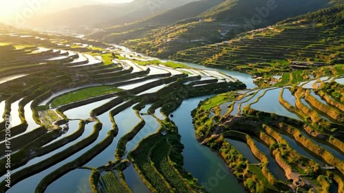 Wallpaper Mural Ancient Irrigation Terraces in Aerial View with Geometric Patterns and Cinematic Sunlit Depth Torontodigital.ca