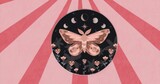 Displaying stylized moth and moon phases in abstract circular design, with florals and pink rays