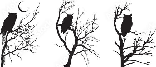 Owl silhouettes on branches with moon vector illustration art background design