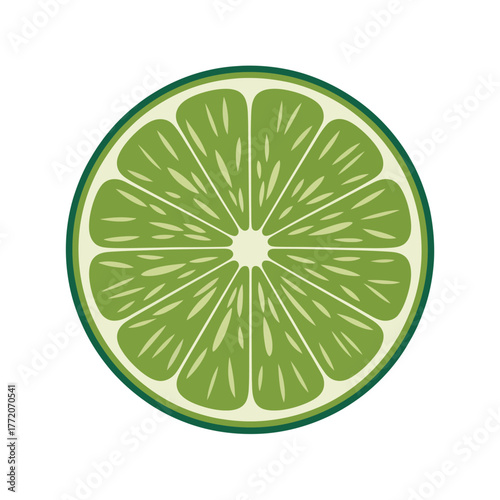 Fresh bright green lime slice closeup detailed illustration citrus fruit healthy food dessert ingredient vector image