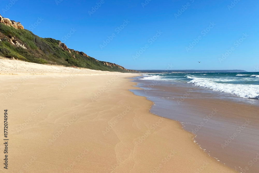 Obraz premium Sandy beach on the Atlantic ocean coast in Portugal, Algarve