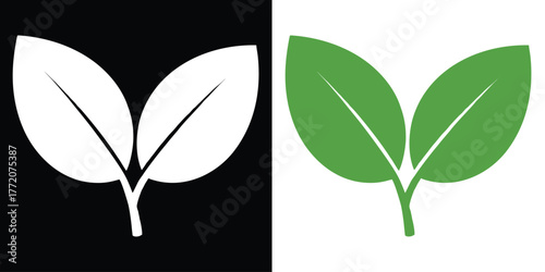 Fresh leaves sprouting in vibrant green and stark white for growth and nature