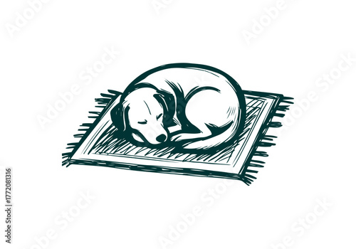 Rug carpet hand drawn simple sketch vector illustration