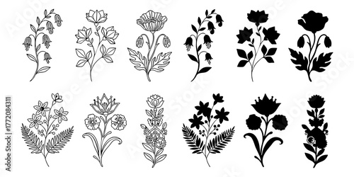 Collection of black and white floral illustrations and silhouettes. Set of delicate floral illustrations and bold silhouettes, featuring various flower types and botanical elements in black and white