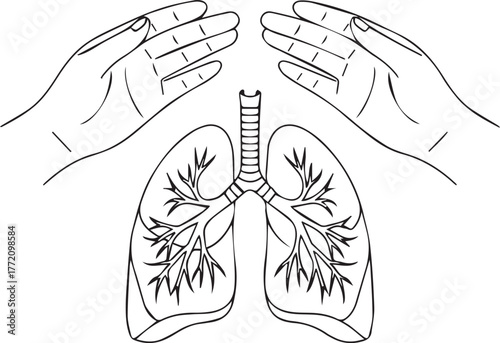 Lung Protection: A delicate illustration depicting human hands gently cupping a pair of lungs, symbolizing the care and protection of respiratory health.