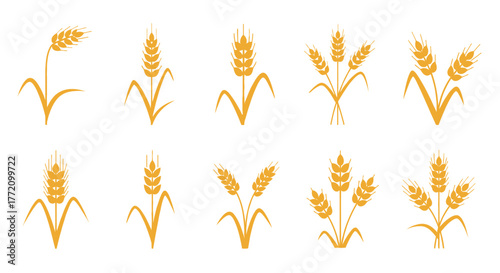 Wheat stalk graphic icons collection cereal crops harvest symbol illustrations