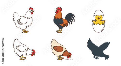 Cartoon Poultry Chicken Rooster Chick Collection Isolated on White
