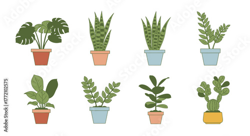 Diverse Houseplants Illustration Set Potted Plants Collection
