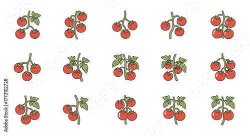 Cute Cherry Tomatoes Collection on Vine Illustration Set Food Ingredients
