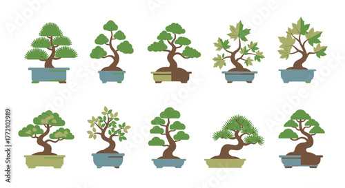 Collection of Different Bonsai Tree Illustrations Flat Design