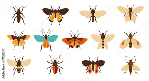 Diversity of stylized moths insects in colorful cartoon illustration