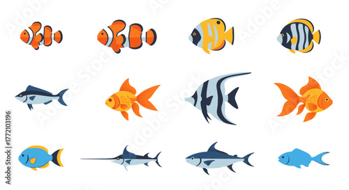 Tropical Fish Vector Illustration of Different Types