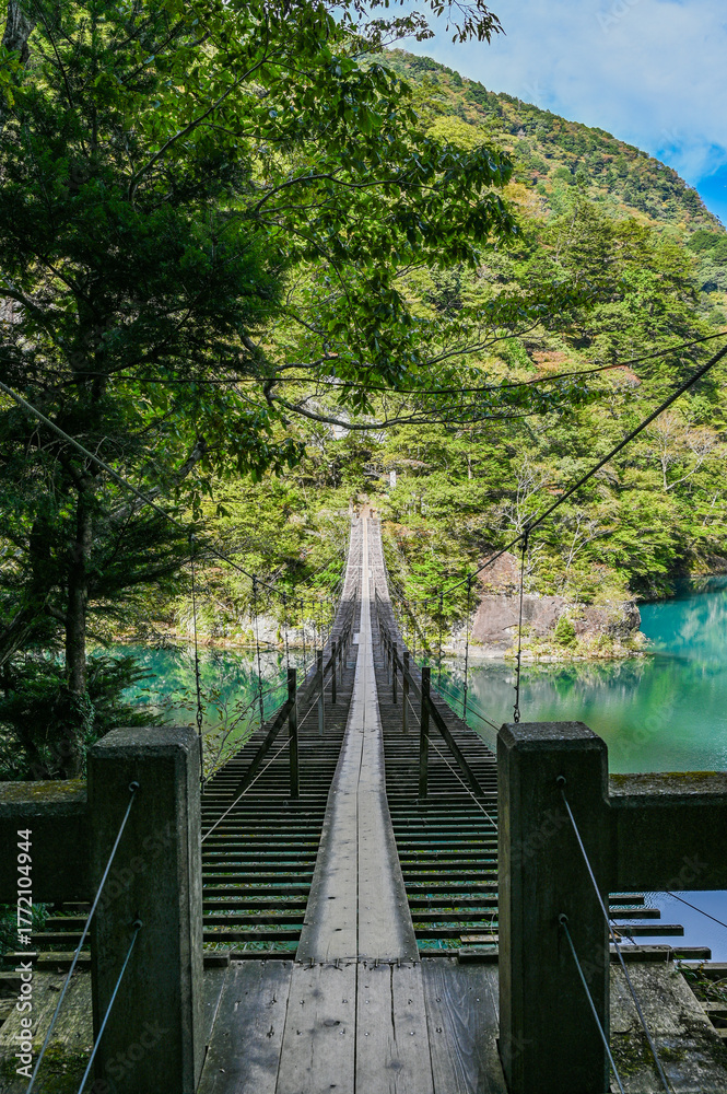 Obraz premium 静岡県寸又峡の夢のつり橋