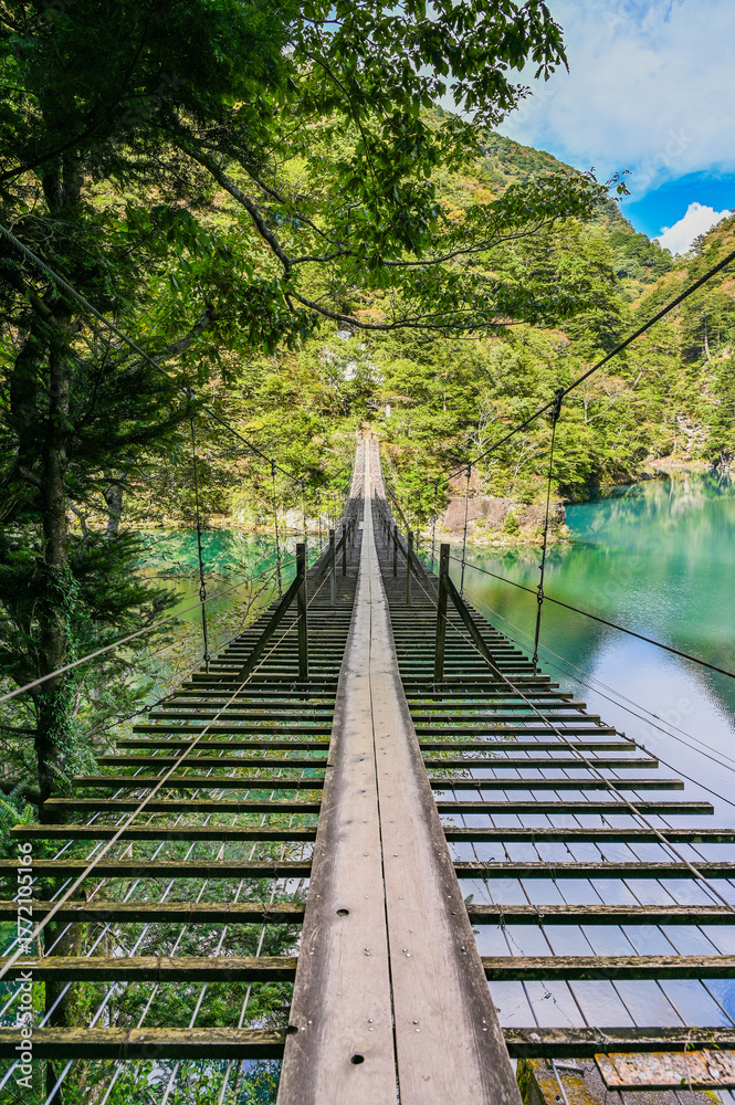 Obraz premium 静岡県寸又峡の夢のつり橋