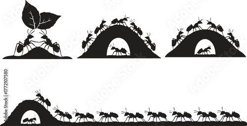 Ant colony teamwork carrying leaves, ants walking and building anthill tunnels, insect behavior and nature wildlife silhouette vector illustration on white background