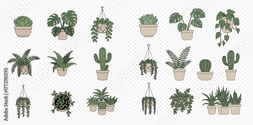 A collection of potted plants and hanging plants, including succulents, cacti, and leafy green plants in various pots and macrame hangers.