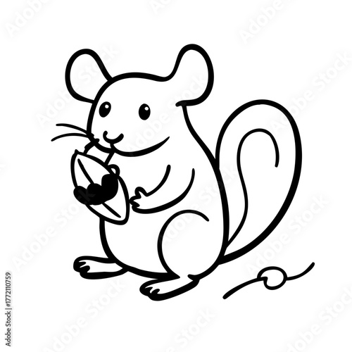 Adorable chinchilla holding a seed