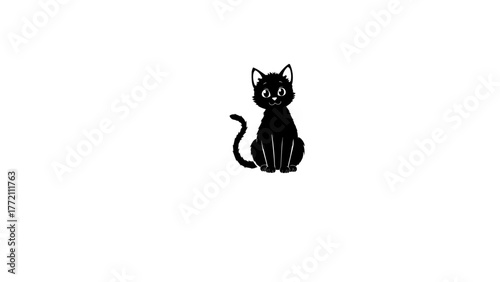 ILLUSTRATION CAT