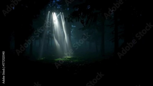 Dramatic beam of light shining through trees in a dark forest with green grass